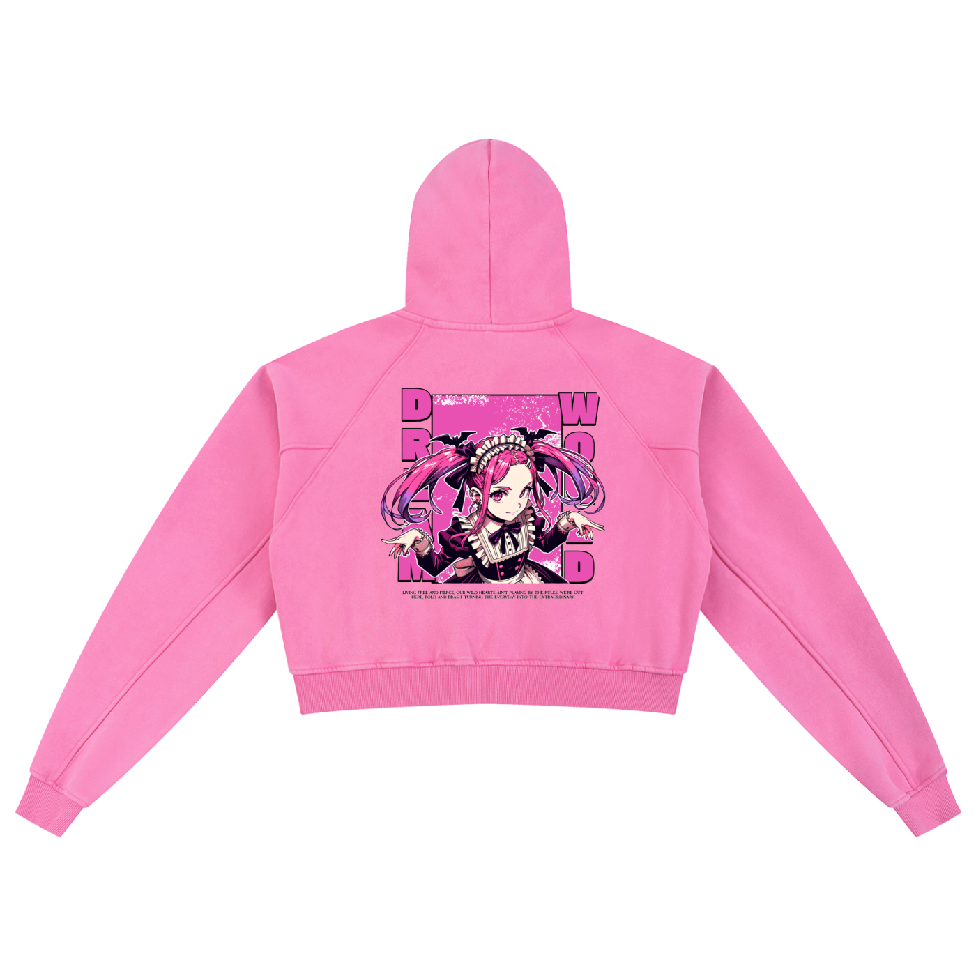 Snow Washed Cropped Hoodie