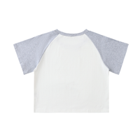 Color-Blocked Raglan Sleeve Crop Top